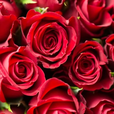 Bloemen & Geschenken 