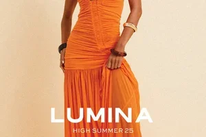 Introducing LUMINA